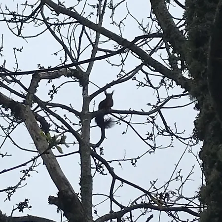 Casa Do Eiro בית נופש רסנדה