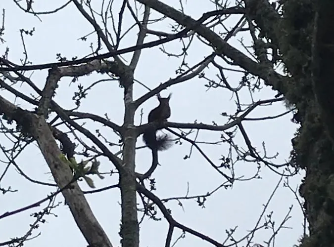 Casa Do Eiro בית נופש רסנדה